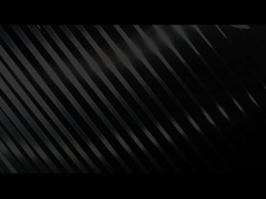 बिचैम्प परिचय